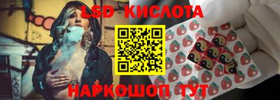 амф Дубна
