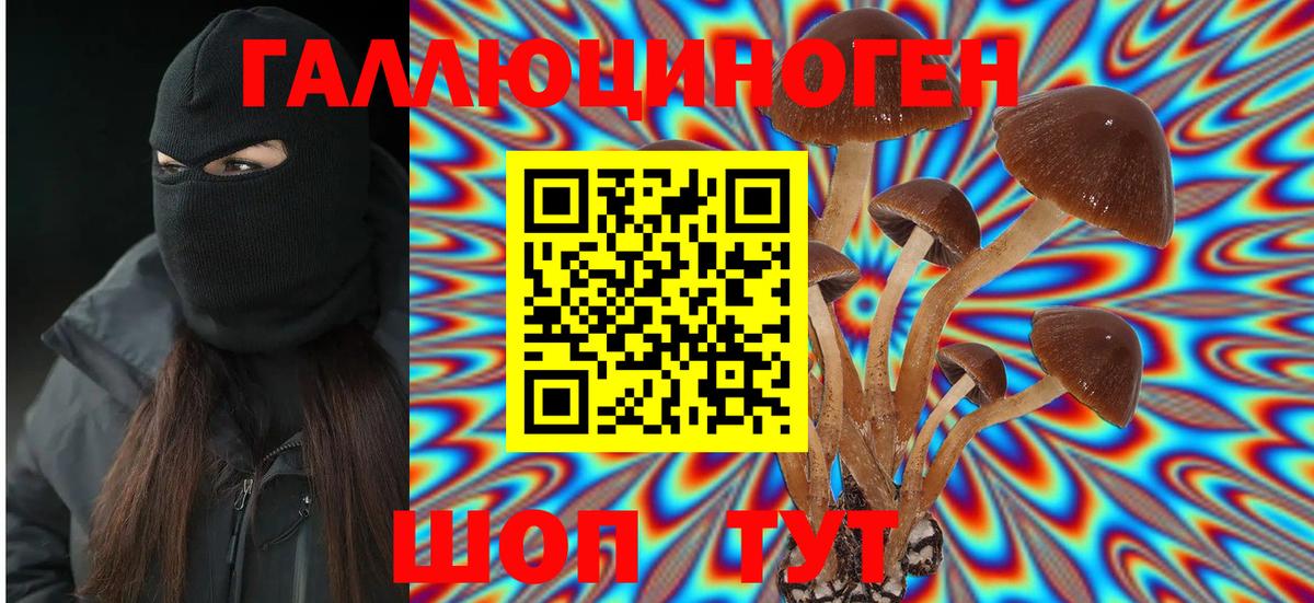 Галлюциногенные грибы Psilocybe Муравленко